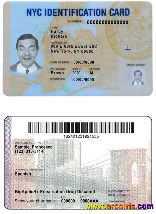 USA New York ID